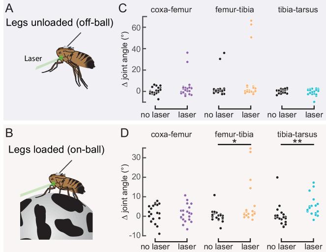 https://cdn.ncbi.nlm.nih.gov/pmc/blobs/5cfe/7752136/e214a3919b55/elife-60299-fig6.jpg