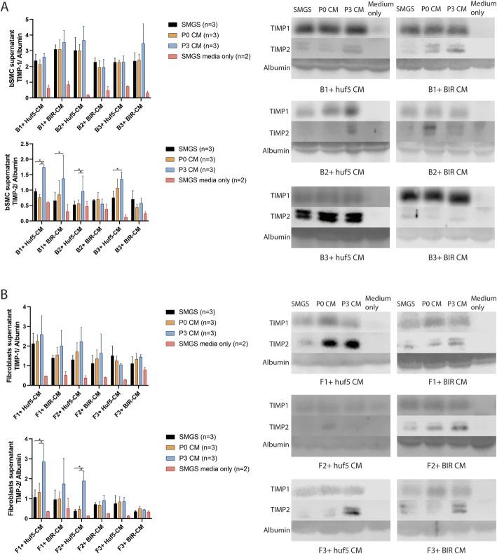 https://cdn.ncbi.nlm.nih.gov/pmc/blobs/5cfe/8025391/d3963504286a/13287_2021_2292_Fig2_HTML.jpg