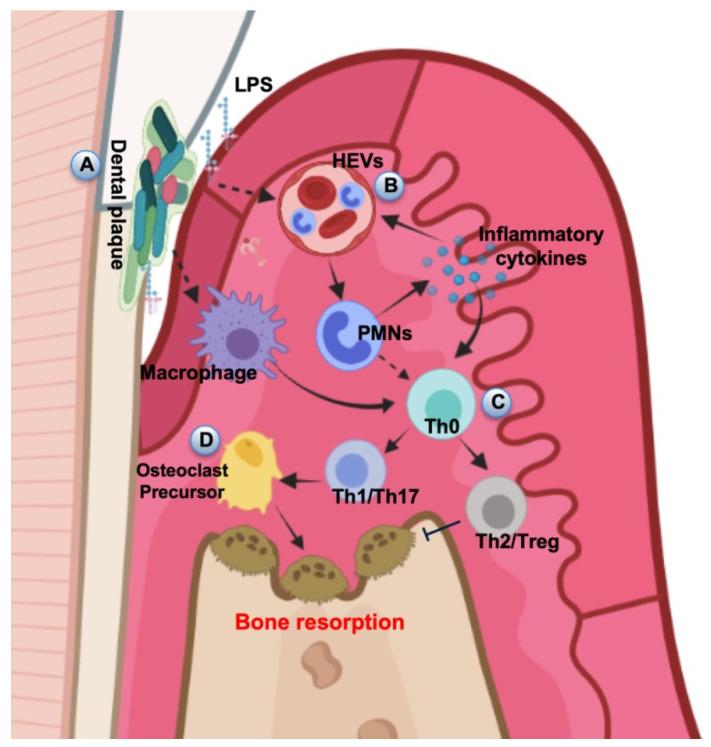 https://cdn.ncbi.nlm.nih.gov/pmc/blobs/5cff/9103139/ab3a203f3de8/ijms-23-05142-g002.jpg