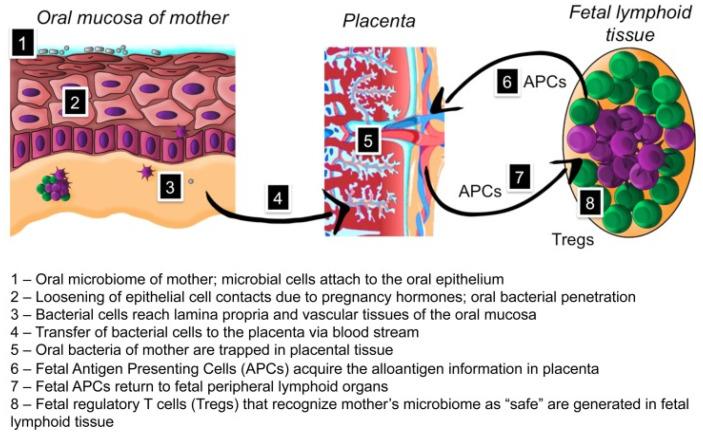 https://cdn.ncbi.nlm.nih.gov/pmc/blobs/5cff/9103139/fc3fe0f04986/ijms-23-05142-g001.jpg