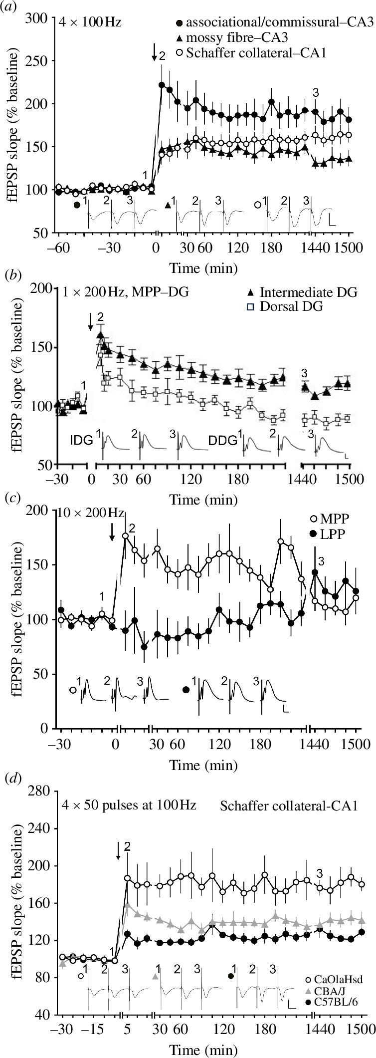 https://cdn.ncbi.nlm.nih.gov/pmc/blobs/5d00/11343234/1aff519b3d61/rstb.2023.0229.f001.jpg