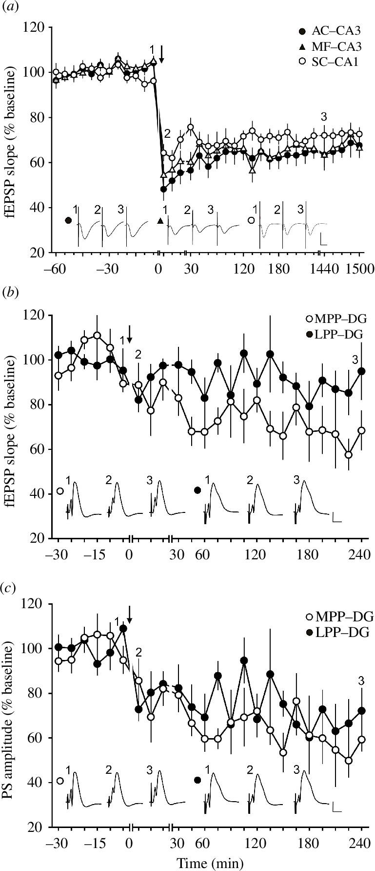 https://cdn.ncbi.nlm.nih.gov/pmc/blobs/5d00/11343234/4499b8edbe42/rstb.2023.0229.f002.jpg