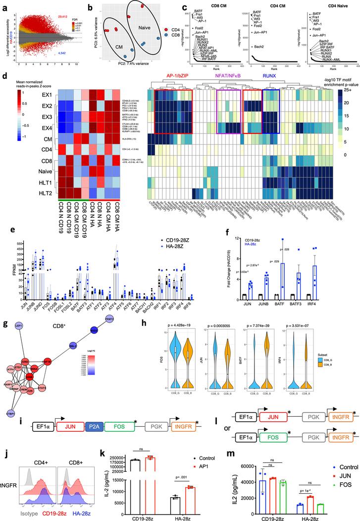 https://cdn.ncbi.nlm.nih.gov/pmc/blobs/5d00/6944329/4f21c4144fd7/nihms-1541323-f0010.jpg