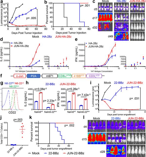 https://cdn.ncbi.nlm.nih.gov/pmc/blobs/5d00/6944329/dbce2c3f1ab4/nihms-1541323-f0005.jpg