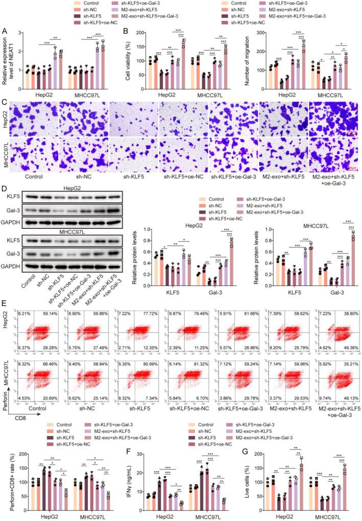 https://cdn.ncbi.nlm.nih.gov/pmc/blobs/5d01/11666343/96698a901ce3/CCS3-19-e12060-g003.jpg