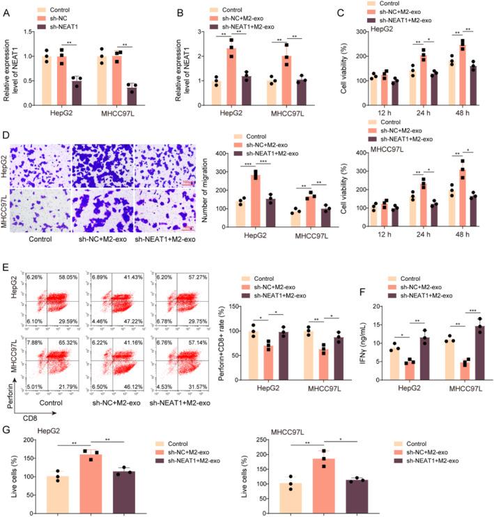 https://cdn.ncbi.nlm.nih.gov/pmc/blobs/5d01/11666343/b79937d85d04/CCS3-19-e12060-g001.jpg