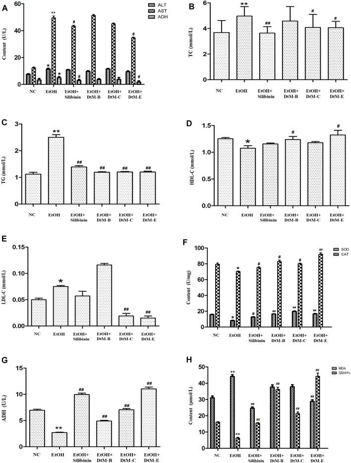https://cdn.ncbi.nlm.nih.gov/pmc/blobs/5d01/8966672/30fa29064c84/fphar-13-830532-g001.jpg