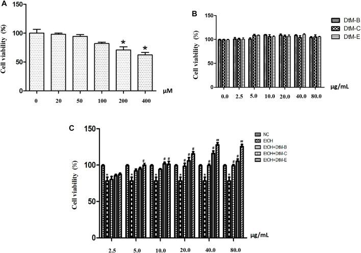 https://cdn.ncbi.nlm.nih.gov/pmc/blobs/5d01/8966672/716c25e5c4e4/fphar-13-830532-g003.jpg