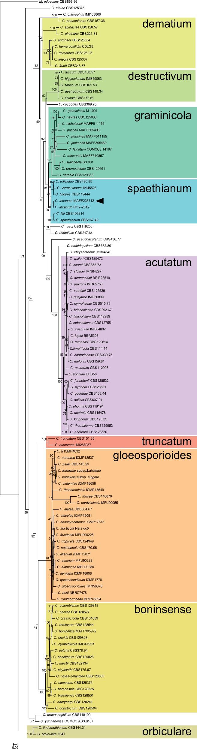 https://cdn.ncbi.nlm.nih.gov/pmc/blobs/5d02/4898803/35b329e10d56/evw089f1p.jpg