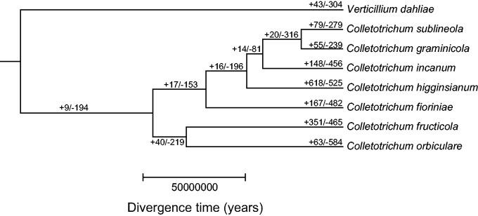 https://cdn.ncbi.nlm.nih.gov/pmc/blobs/5d02/4898803/a0fa532f1f3c/evw089f3p.jpg