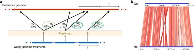 https://cdn.ncbi.nlm.nih.gov/pmc/blobs/5d02/6269478/0338097a0b2e/41467_2018_7641_Fig4_HTML.jpg
