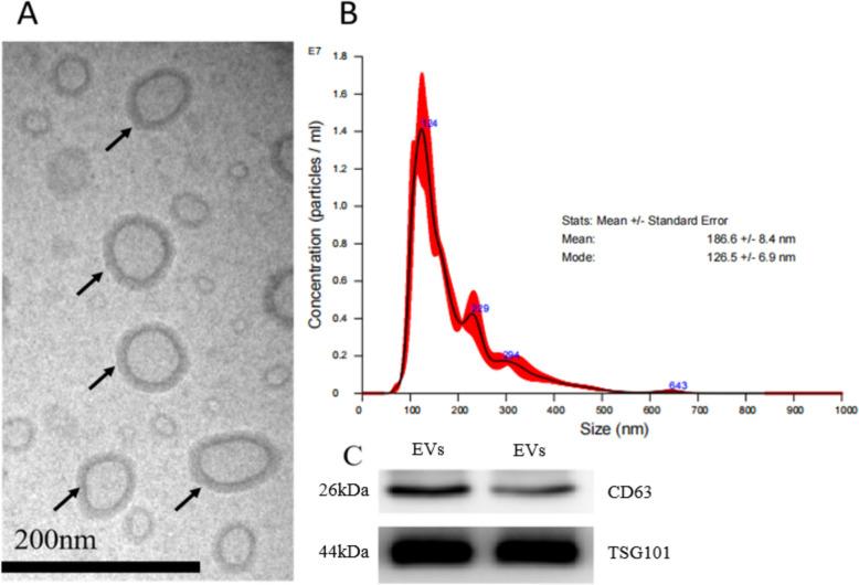 https://cdn.ncbi.nlm.nih.gov/pmc/blobs/5d04/11823222/1b528236cca6/13048_2025_1590_Fig2_HTML.jpg