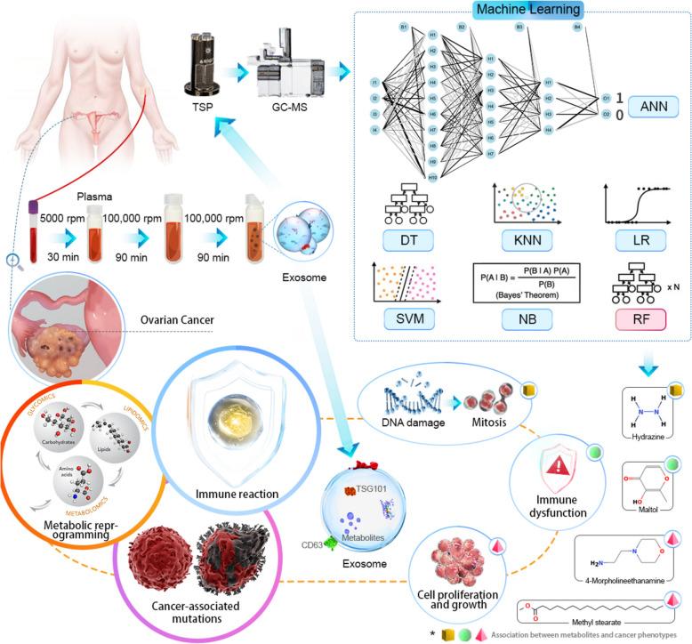 https://cdn.ncbi.nlm.nih.gov/pmc/blobs/5d04/11823222/f153f73be883/13048_2025_1590_Fig1_HTML.jpg