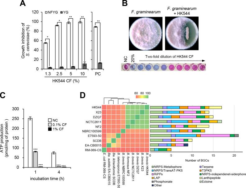 https://cdn.ncbi.nlm.nih.gov/pmc/blobs/5d0b/11253638/a7134a5b5335/mbio.01351-24.f001.jpg