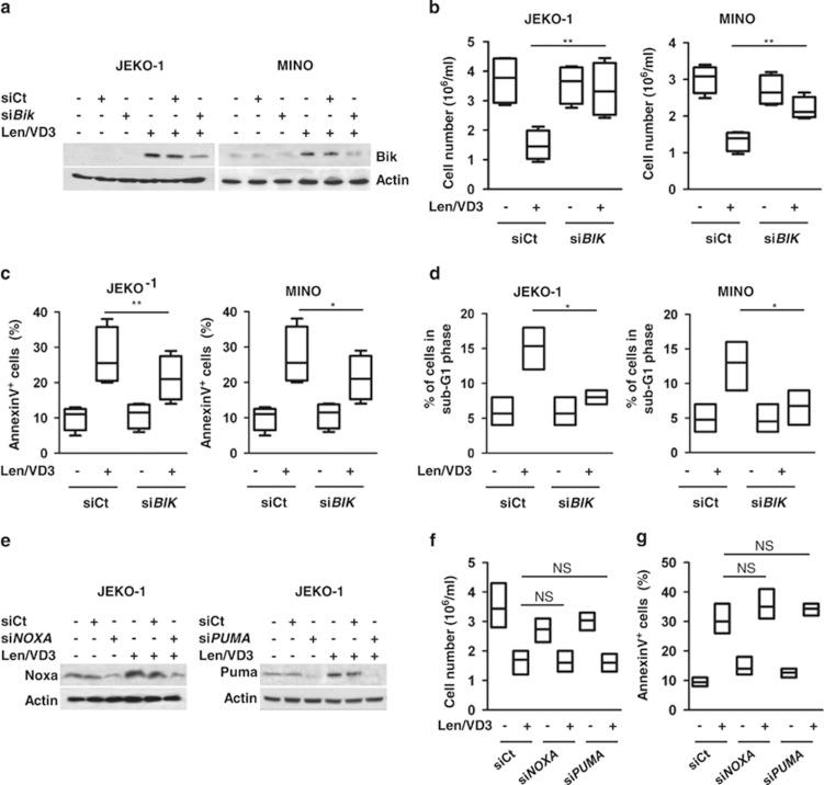 https://cdn.ncbi.nlm.nih.gov/pmc/blobs/5d0b/4454319/001445ef8645/cddis2014346f5.jpg