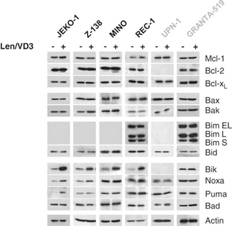 https://cdn.ncbi.nlm.nih.gov/pmc/blobs/5d0b/4454319/266dcd1c7220/cddis2014346f3.jpg