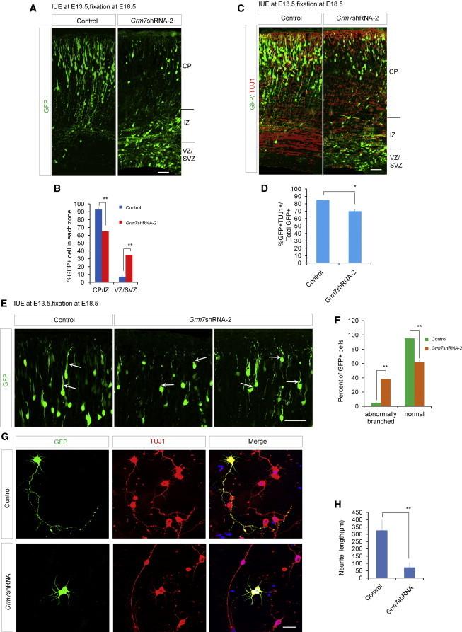 https://cdn.ncbi.nlm.nih.gov/pmc/blobs/5d0c/4437472/54aad79b035b/gr5.jpg