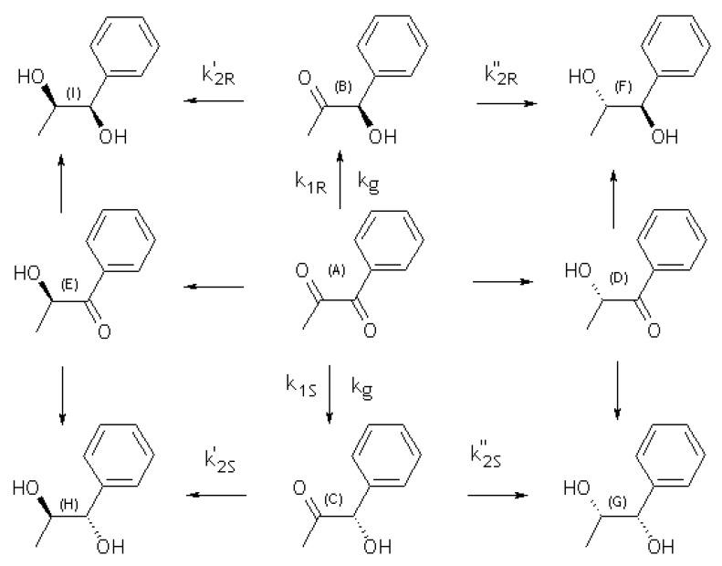 https://cdn.ncbi.nlm.nih.gov/pmc/blobs/5d0c/6263364/023fe63a04a8/molecules-15-03428-g003.jpg