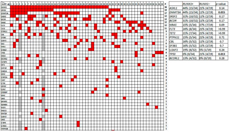 https://cdn.ncbi.nlm.nih.gov/pmc/blobs/5d0c/9324882/b13745911ec3/cancers-14-03375-g005.jpg