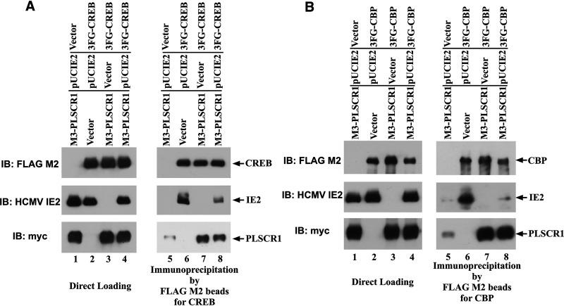 https://cdn.ncbi.nlm.nih.gov/pmc/blobs/5d0e/8826943/5efd096269e8/spectrum.01342-21-f007.jpg