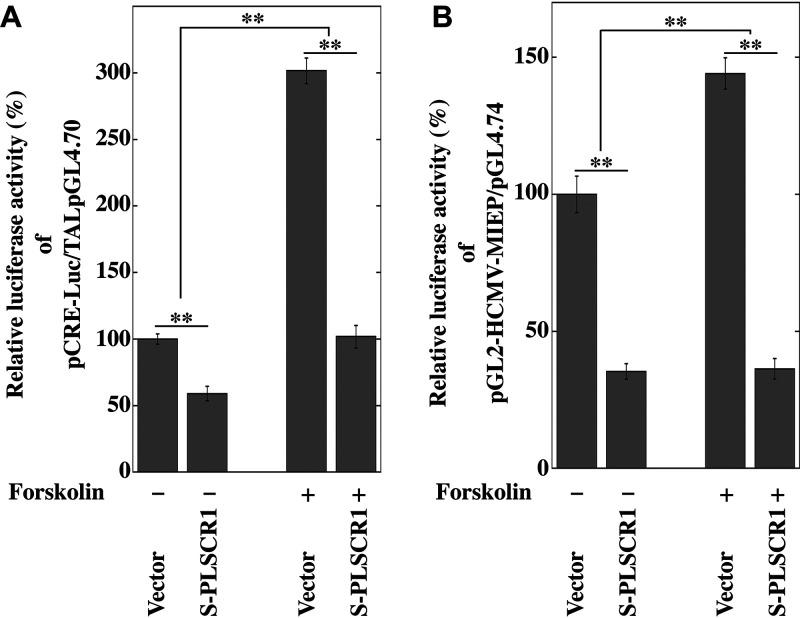 https://cdn.ncbi.nlm.nih.gov/pmc/blobs/5d0e/8826943/aefdecab8ca8/spectrum.01342-21-f008.jpg