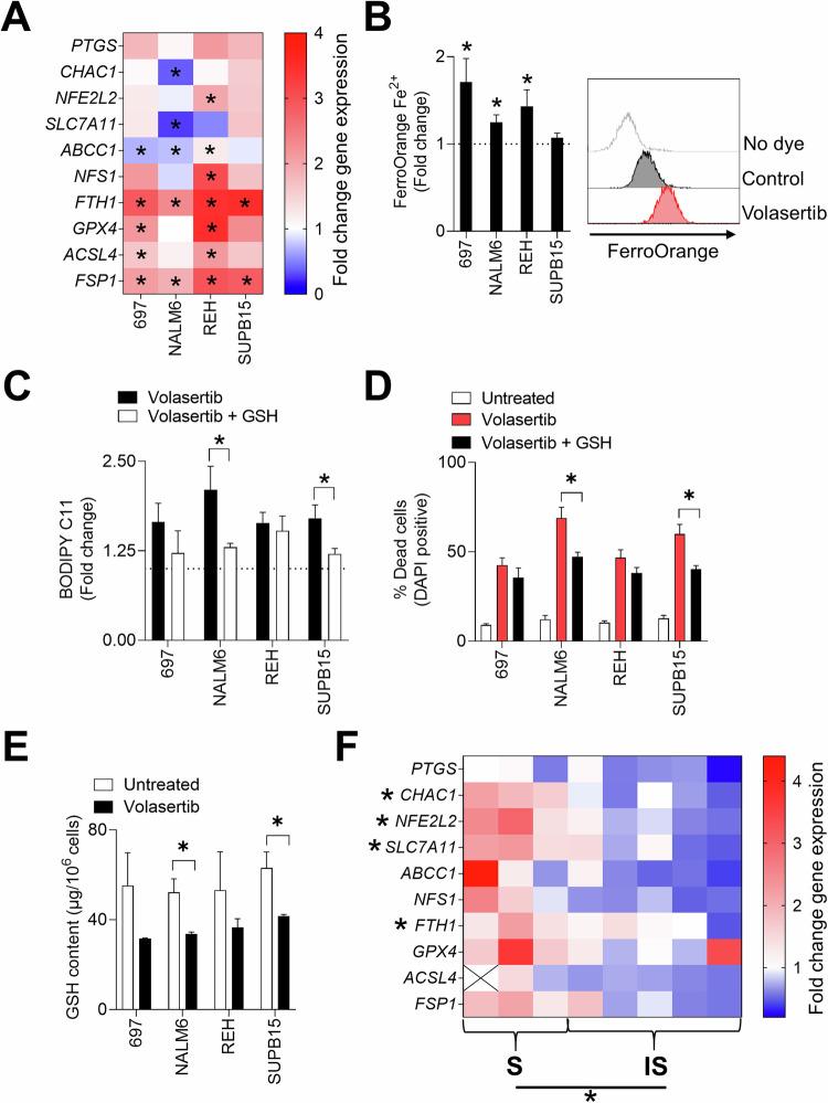 https://cdn.ncbi.nlm.nih.gov/pmc/blobs/5d10/12085637/18b94233ee4e/41419_2025_7704_Fig5_HTML.jpg