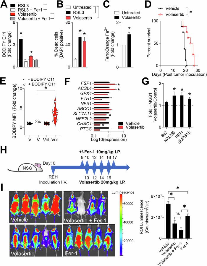 https://cdn.ncbi.nlm.nih.gov/pmc/blobs/5d10/12085637/b21e9b57a182/41419_2025_7704_Fig6_HTML.jpg