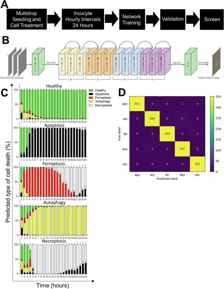 https://cdn.ncbi.nlm.nih.gov/pmc/blobs/5d10/12085637/e916f202e973/41419_2025_7704_Fig2_HTML.jpg