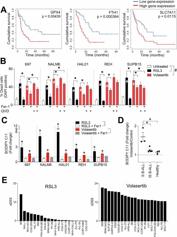 https://cdn.ncbi.nlm.nih.gov/pmc/blobs/5d10/12085637/fad3a773fde6/41419_2025_7704_Fig4_HTML.jpg