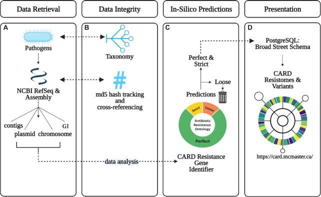 https://cdn.ncbi.nlm.nih.gov/pmc/blobs/5d10/9825576/9345c82c150f/gkac920fig2.jpg