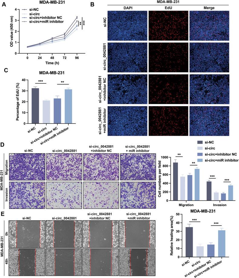https://cdn.ncbi.nlm.nih.gov/pmc/blobs/5d15/10457341/0ec7bc3fca19/41419_2023_6085_Fig4_HTML.jpg