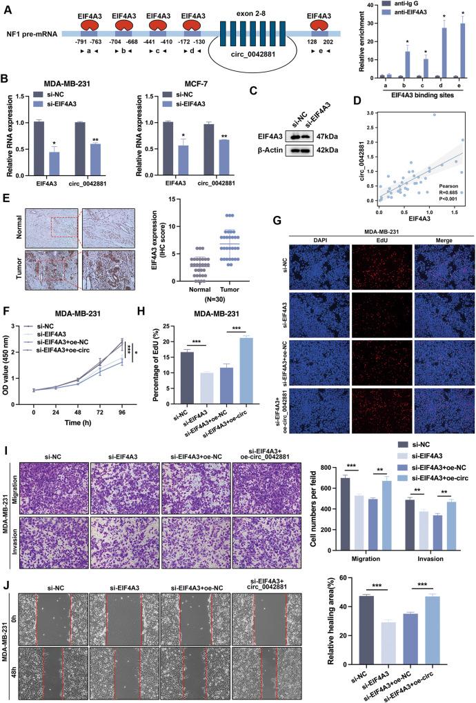 https://cdn.ncbi.nlm.nih.gov/pmc/blobs/5d15/10457341/369f30c49784/41419_2023_6085_Fig7_HTML.jpg