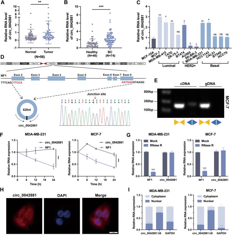 https://cdn.ncbi.nlm.nih.gov/pmc/blobs/5d15/10457341/613822dd824f/41419_2023_6085_Fig1_HTML.jpg