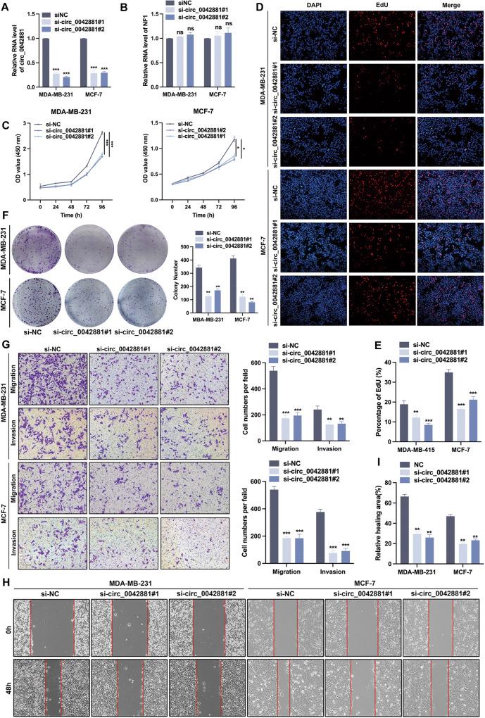 https://cdn.ncbi.nlm.nih.gov/pmc/blobs/5d15/10457341/e0237d730b0e/41419_2023_6085_Fig2_HTML.jpg