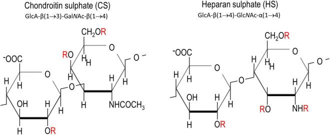 https://cdn.ncbi.nlm.nih.gov/pmc/blobs/5d16/9195417/083189582674/fnint-16-895493-g001.jpg