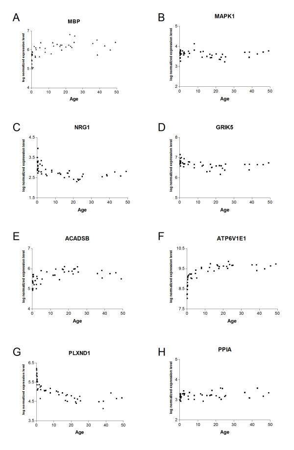 https://cdn.ncbi.nlm.nih.gov/pmc/blobs/5d18/2694209/77ea210234a6/1755-8794-2-28-2.jpg