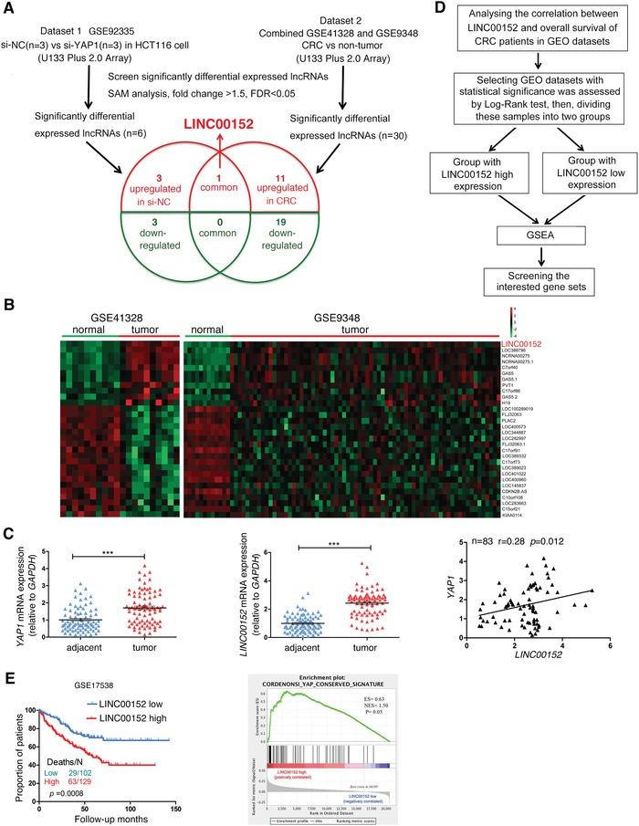 https://cdn.ncbi.nlm.nih.gov/pmc/blobs/5d18/7001651/362d44bff918/ADVS-7-1901380-g001.jpg