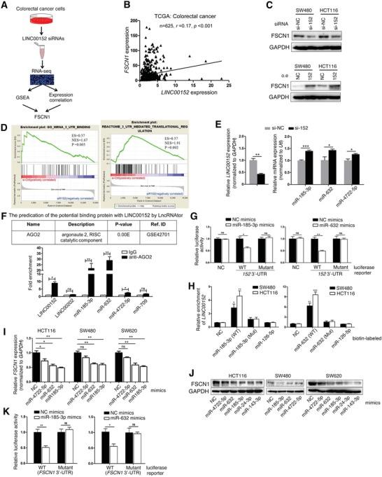 https://cdn.ncbi.nlm.nih.gov/pmc/blobs/5d18/7001651/658ac6f45bf9/ADVS-7-1901380-g004.jpg