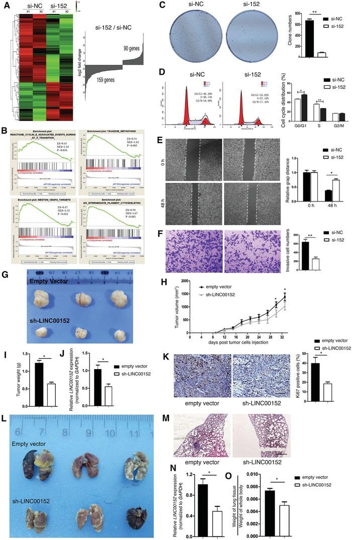 https://cdn.ncbi.nlm.nih.gov/pmc/blobs/5d18/7001651/6a7f0f9cc1e6/ADVS-7-1901380-g003.jpg