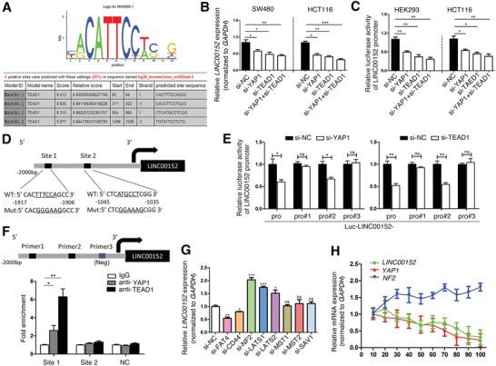https://cdn.ncbi.nlm.nih.gov/pmc/blobs/5d18/7001651/98d539443261/ADVS-7-1901380-g002.jpg