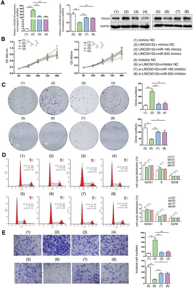 https://cdn.ncbi.nlm.nih.gov/pmc/blobs/5d18/7001651/eaec6e190a35/ADVS-7-1901380-g005.jpg