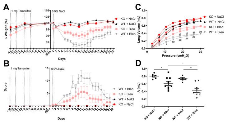 https://cdn.ncbi.nlm.nih.gov/pmc/blobs/5d18/8401301/64d8a4996159/pharmaceuticals-14-00755-g001.jpg