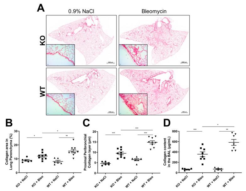 https://cdn.ncbi.nlm.nih.gov/pmc/blobs/5d18/8401301/851a51410d00/pharmaceuticals-14-00755-g002.jpg