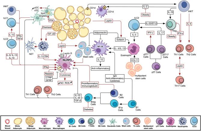 https://cdn.ncbi.nlm.nih.gov/pmc/blobs/5d19/7705180/c960f261cd34/fcvm-07-602088-g0001.jpg