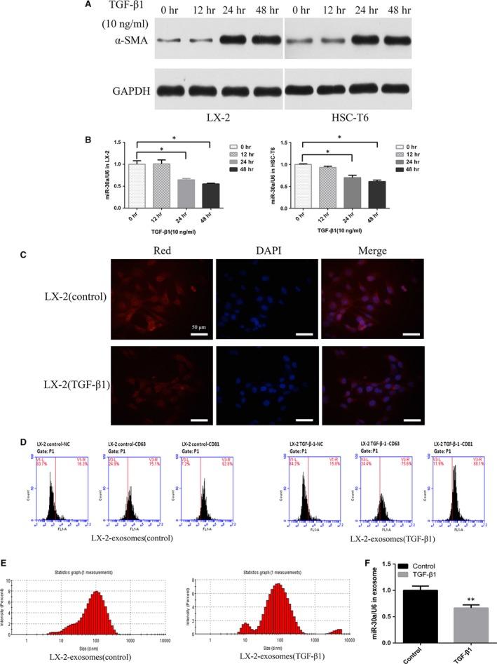 https://cdn.ncbi.nlm.nih.gov/pmc/blobs/5d1a/5706581/5acf9ec43492/JCMM-21-3679-g001.jpg