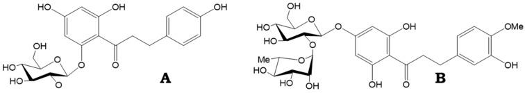 https://cdn.ncbi.nlm.nih.gov/pmc/blobs/5d1c/11505204/d6e146eada37/antioxidants-13-01159-g001.jpg