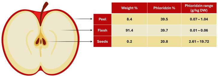 https://cdn.ncbi.nlm.nih.gov/pmc/blobs/5d1c/11505204/fe27a23fd85f/antioxidants-13-01159-g004.jpg