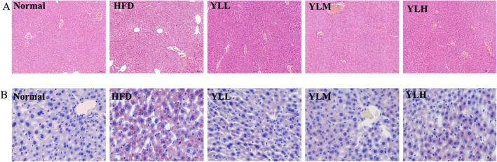 https://cdn.ncbi.nlm.nih.gov/pmc/blobs/5d1c/12301631/87510bacd2ec/FSN3-13-e70449-g005.jpg