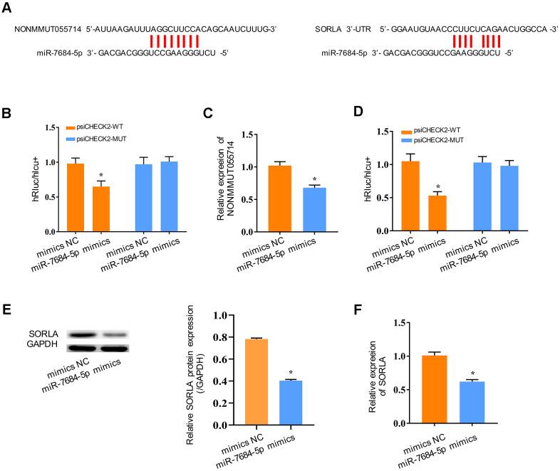 https://cdn.ncbi.nlm.nih.gov/pmc/blobs/5d1c/8148455/9a93932261a2/aging-13-202932-g003.jpg