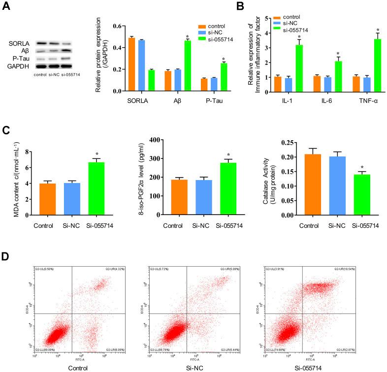 https://cdn.ncbi.nlm.nih.gov/pmc/blobs/5d1c/8148455/e3d6ec45b268/aging-13-202932-g002.jpg